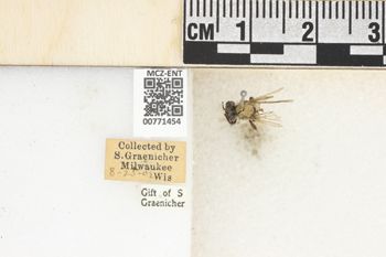 Media type: image;   Entomology 771454 Aspect: Labels